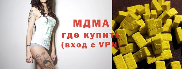 хмурый Арсеньев