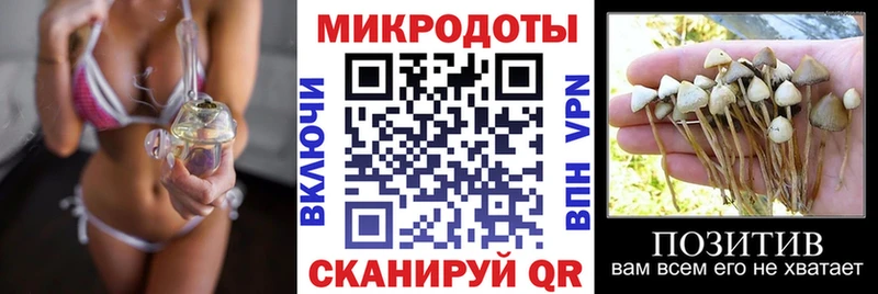 Галлюциногенные грибы прущие грибы  Саранск 