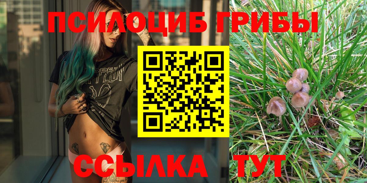 Галлюциногенные грибы Psilocybe Саранск
