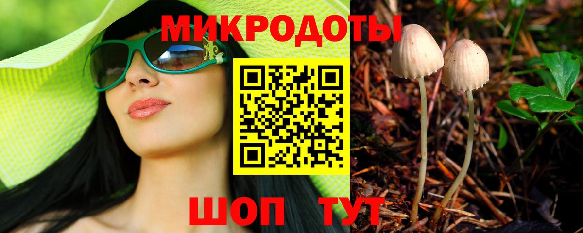 Галлюциногенные грибы Psilocybine cubensis  Вход с VPN  Саранск 