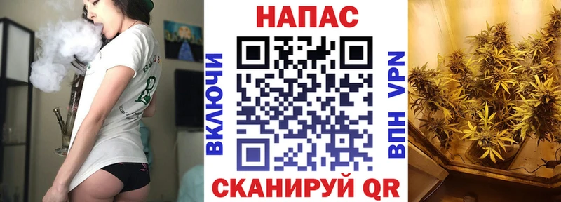 Конопля OG Kush  где можно купить   Саранск 
