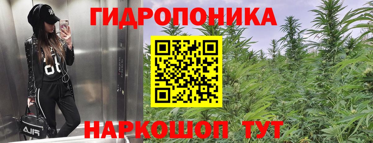 Конопля VHQ Саранск